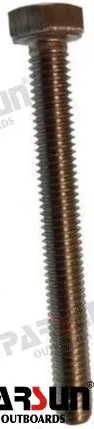 BOLT M6X55