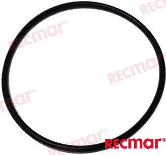 O-RING