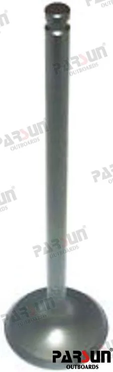 VALVE, INTAKE