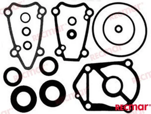 LOWER UNIT SEAL KIT