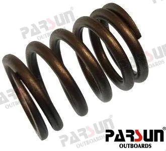 SPRING,VALVE INNER