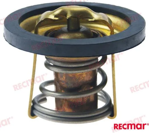 THERMOSTAT KIT