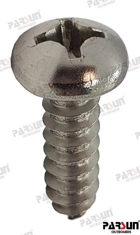SCREW PAN HEAD ST5.5X19