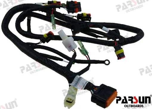 ECU CABLE ASSY