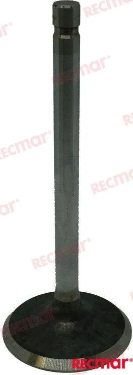 INTAKE VALVE 2.5L GM