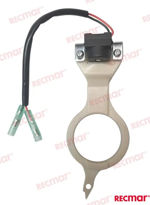 COIL PULSER