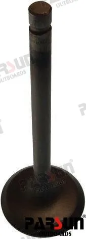 VALVE, INTAKE