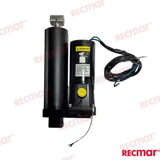 POWER TRIM ASSY