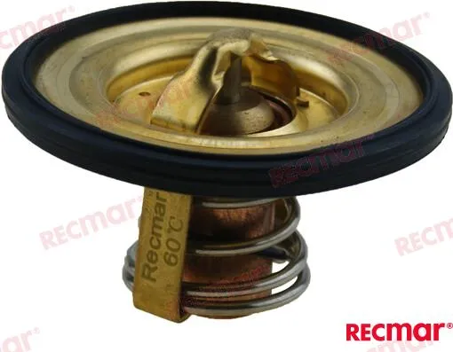 THERMOSTAT KIT
