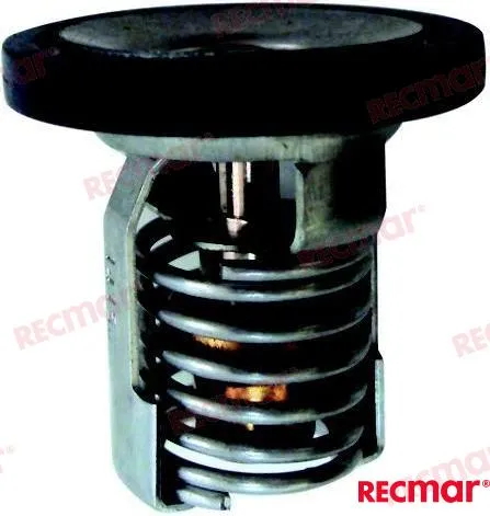 THERMOSTAT