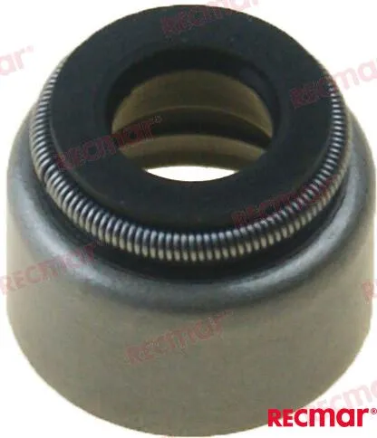 VALVE STEAM SEAL