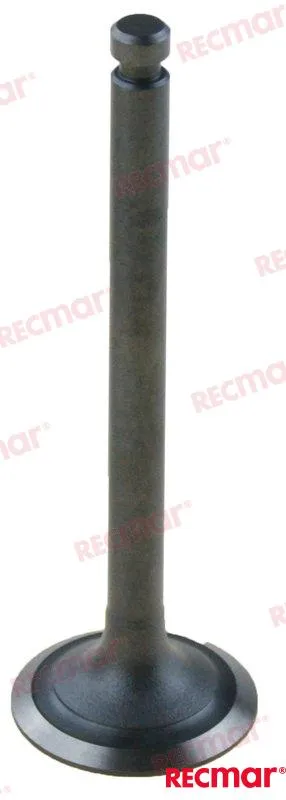 INTAKE VALVE